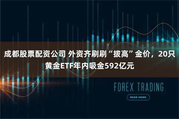 成都股票配资公司 外资齐刷刷“拔高”金价，20只黄金ETF年内吸金592亿元